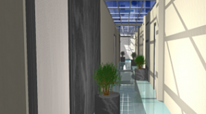 Rehabilitación de interiores: Reformas de patios